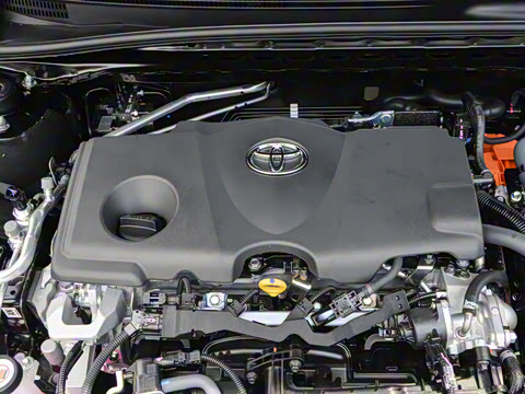 2026�� ˫�� 2.5HXS �˶�Plus��