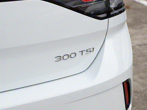 2026�� 300TSI DSG���������