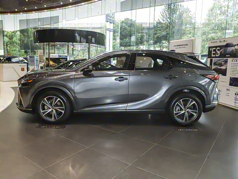 2025�� 300 ����������