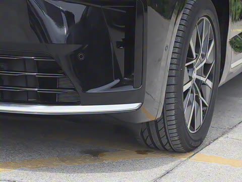 2025�� Ǭ�� Max 6��