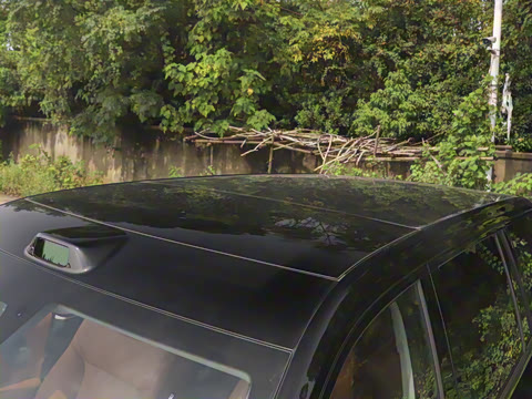 2025�� Ǭ�� Max 6��