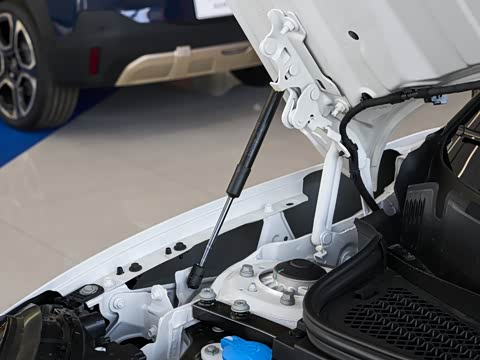 2026�� 463km COOPER SE ������