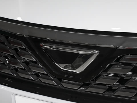 2025�� 1.5L �Զ���ȡ��