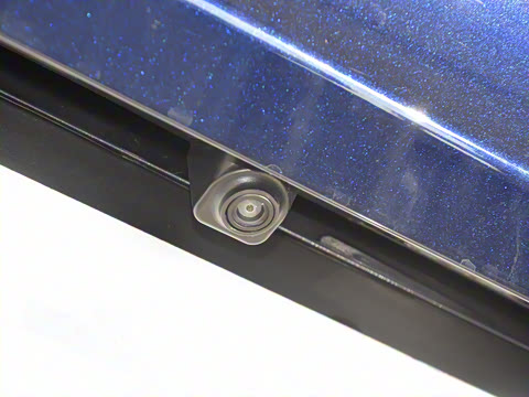 2025�� 430 ��ҫ��