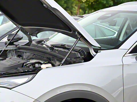 2026�� ������Plus 28T �����׽��