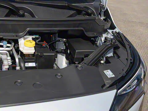 2025�� Plus 610 ������