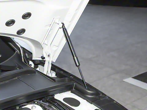 2024��  RS4 Avant ȼ���