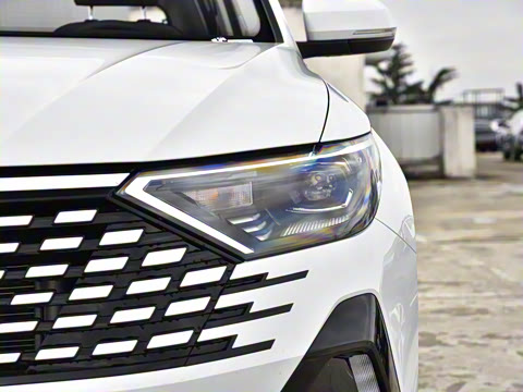 2026�� 280TSI �Զ��ȷ��