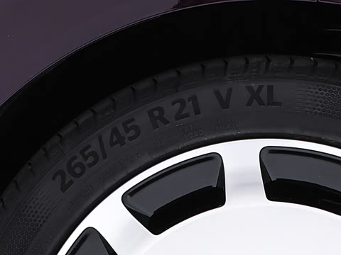 2026�� ���� 300Max Ǭ����