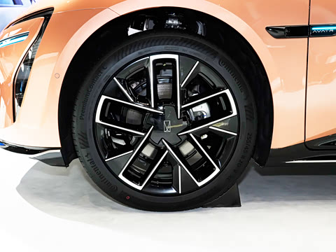 2026�� Max ˫��������