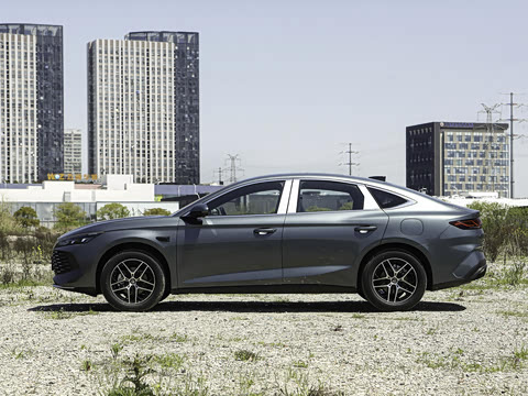 2026�� DM-i 210KM��Խ��