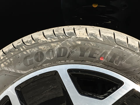 2025�� �����״��