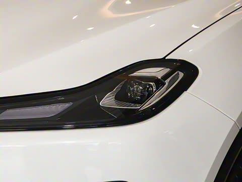 2025�� 520 ��ѡ��