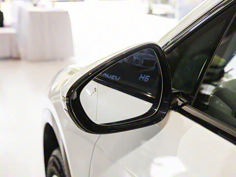 2025�� 520 ��ѡ��