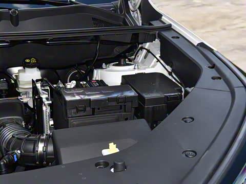 2026�� �ǻ۹ھ��� 1.5T ������ �Ǻ���