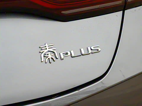 2025�� DM-i �Ǽݰ� 128KM��ȡ��