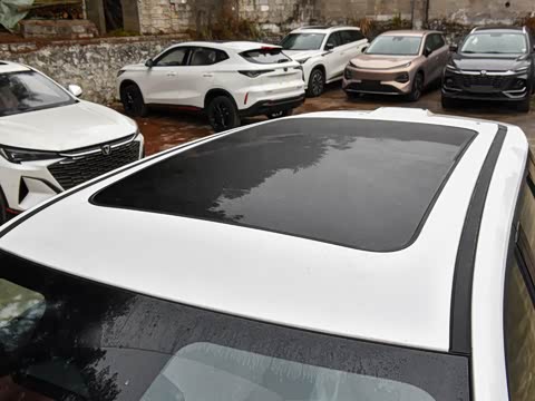 2026�� �ǻ������� 130km ս����