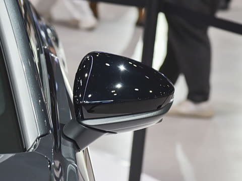 2025�� Avant