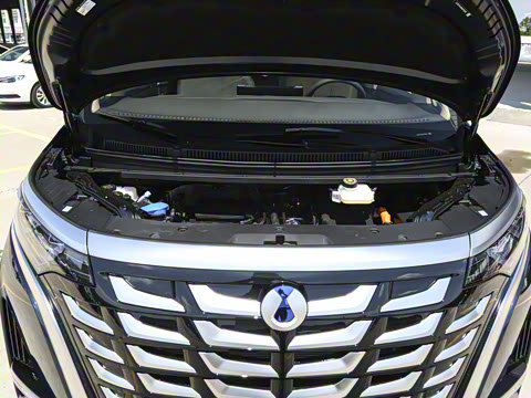 2025�� DM-i ��������