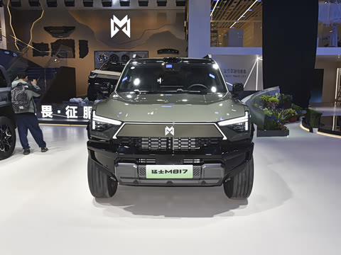 2025�� Pro