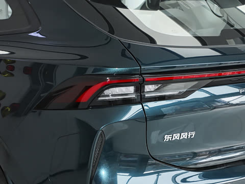 2025�� 530�캽��