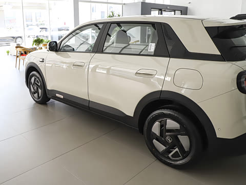 2026�� 310������