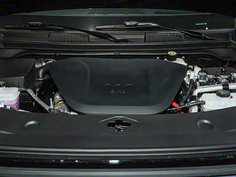 2026�� ���������״��