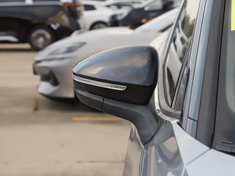 2025�� ������������ʿPRO��