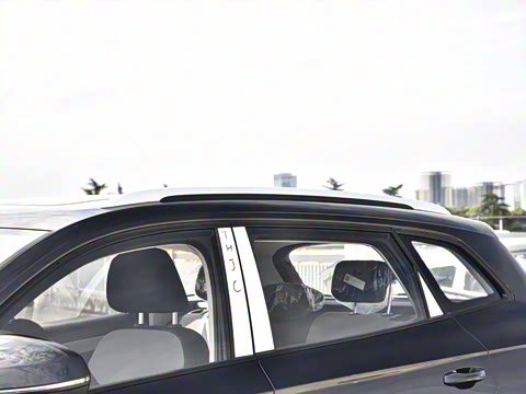 2026�� 280TSI �Զ��ȷ��