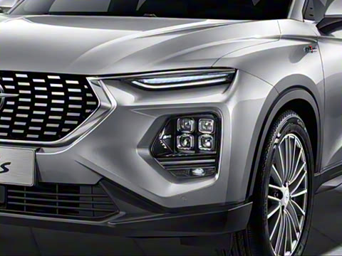 2020�� 1.6TGDI �Զ�������