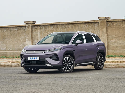 2026�� DM-i 310KM ��Խ��