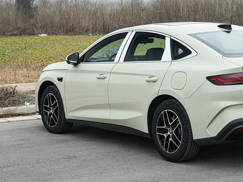 2026�� DM-i 210KM��Խ��