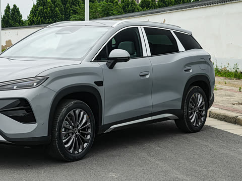 2026�� DM-i 205KM ��Խ��
