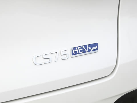 2026�� ���Ĵ� 1.5T �������� ������