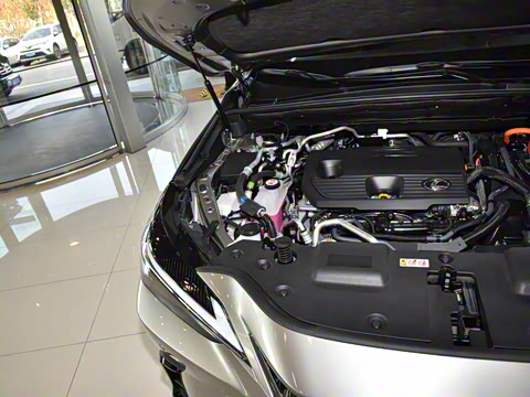 2025�� 400h+ PRIME