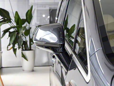 2025�� DM-i ��������