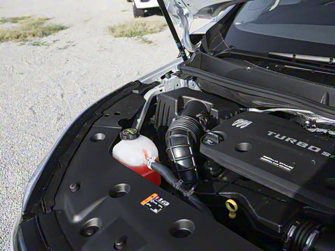 2026�� ½�� ������