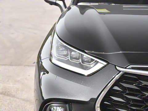 2026�� 380T �������� 7��