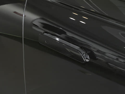 2025�� ���� 265 Max��������������ʻ