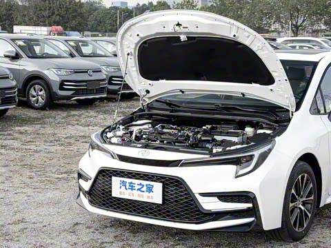 2026�� ����L ���Ͱ� 2.0L ����PLUS��