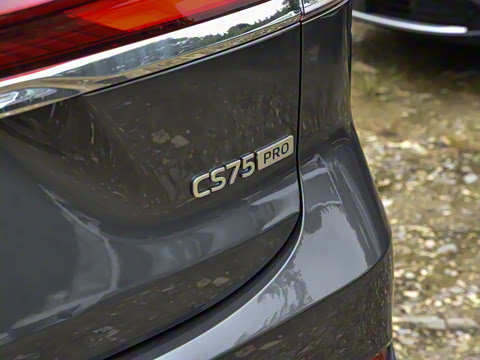 2026�� PRO 1.5T DCT ������ 7��