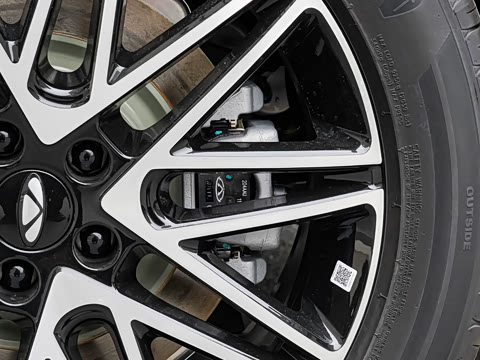 2025�� 260��������������