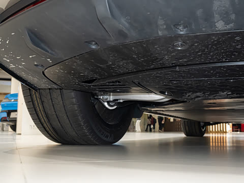 2025�� ������������Pro��