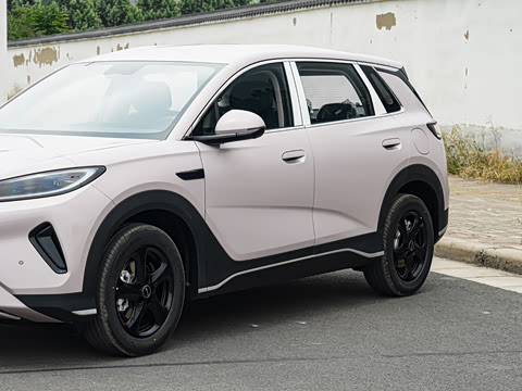 2026�� DM-i 220������