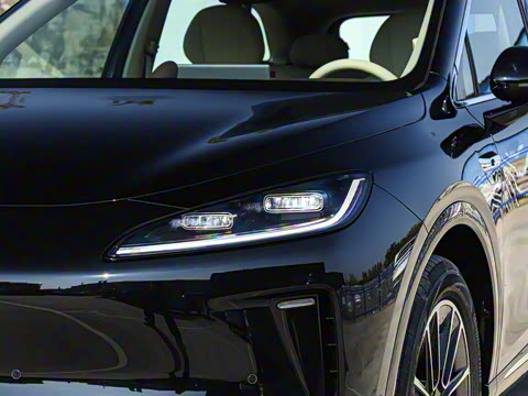 2025�� ���� Pro