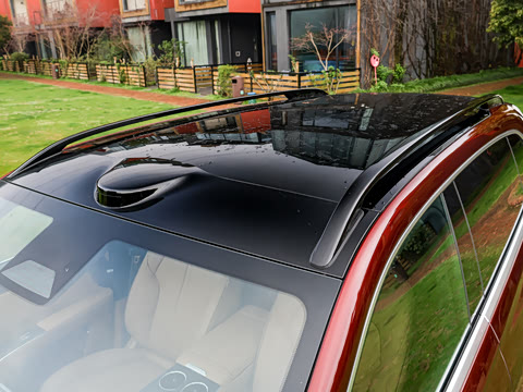 2026�� ���� ����Max��