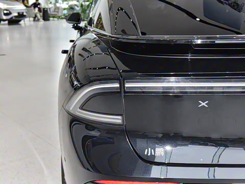 2025�� �������� Max �콢��