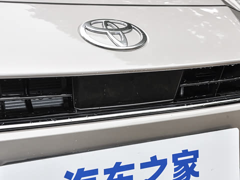 2026�� ˫�� 2.0HGVP ������