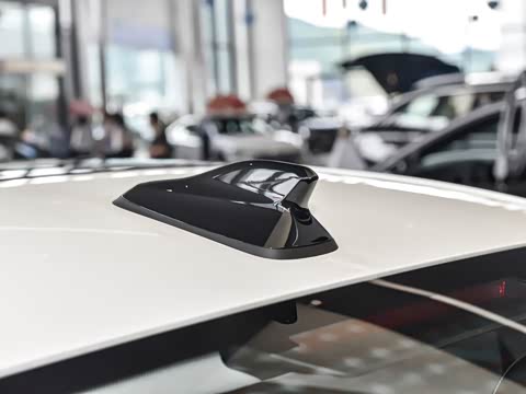 2026�� L 300TSI DSG ��Ӣ��