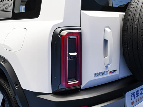 2026�� 255km ������